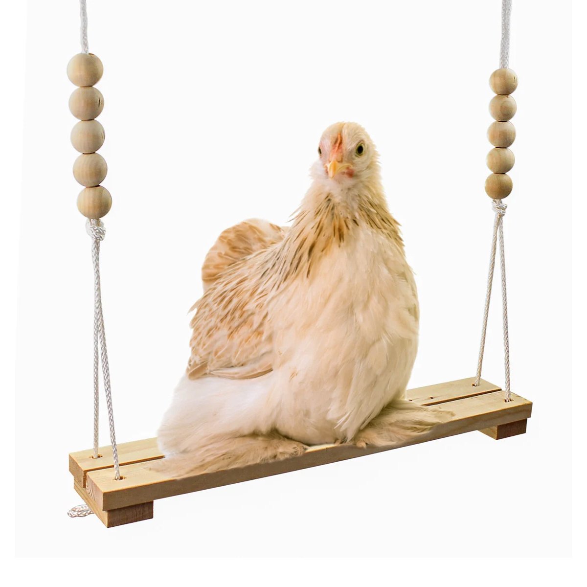 Durable Wooden Chicken Swing  Adjustable Rope & Handmade Beads