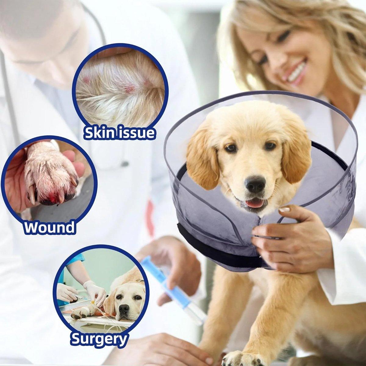 Soft Adjustable Dog Recovery Collar for Post-Surgery & Skin Healing