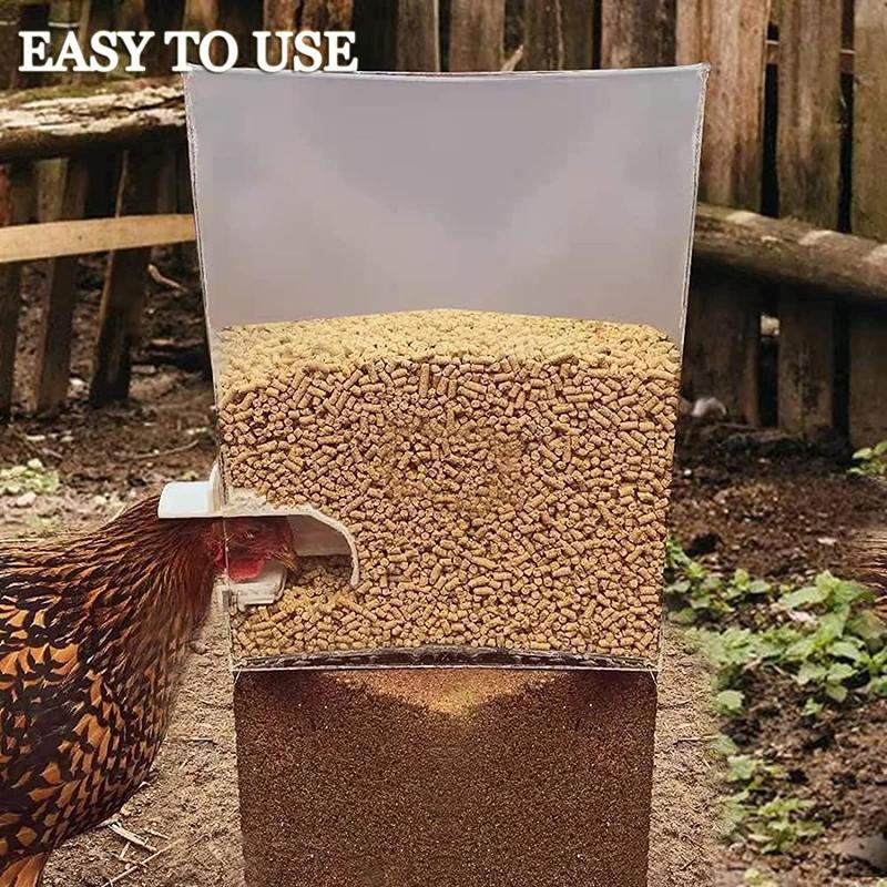 Easy-to-Assemble Weatherproof Chicken Feeder with Gravity-Feed Mechanism