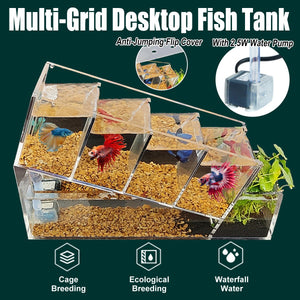 Compact Multi-Cell Desktop Fish Tank with Filtration System