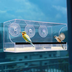 Clear Acrylic Window Bird Feeder 10x30x13cm