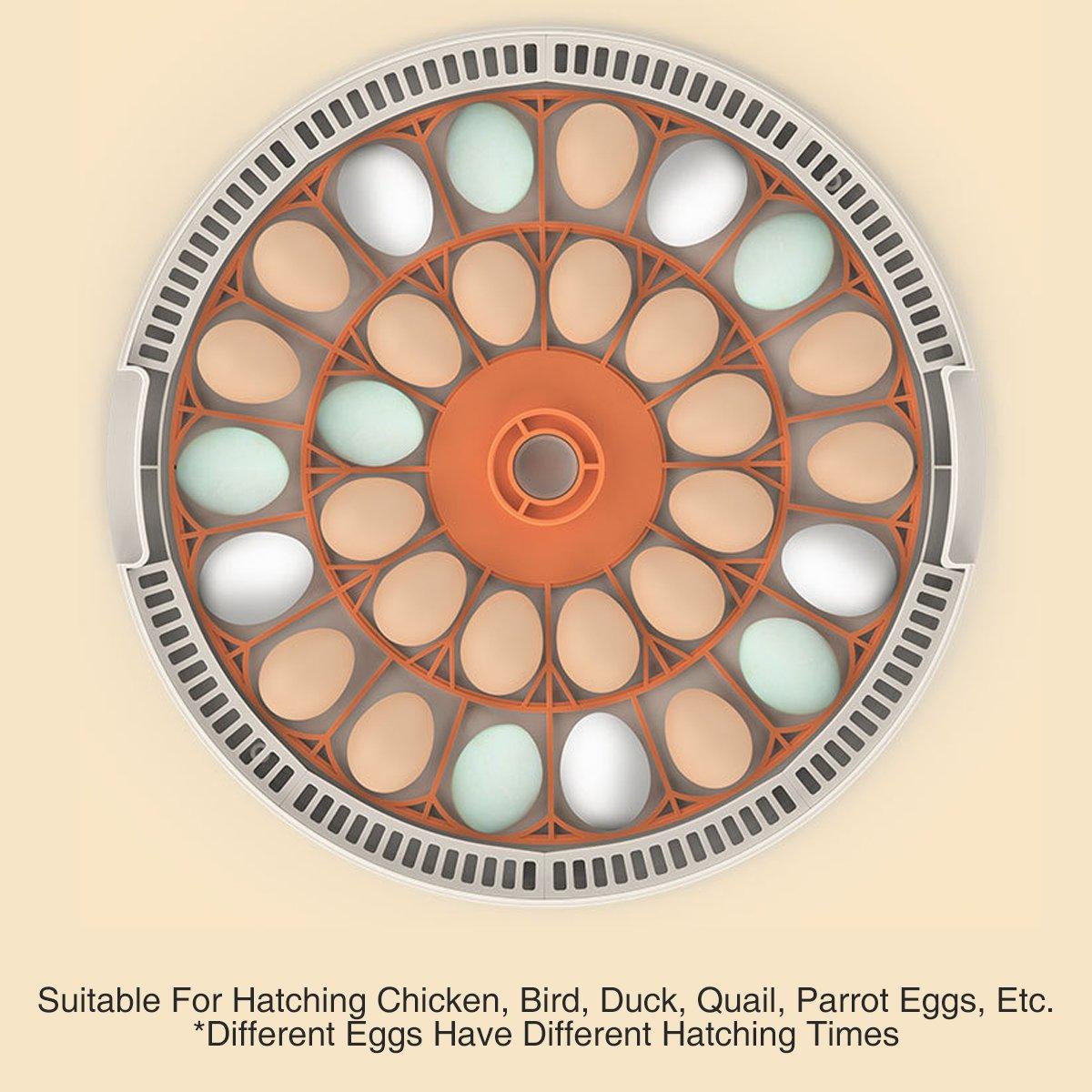 Intelligent New Incubator 30 Automatic Egg Incubator