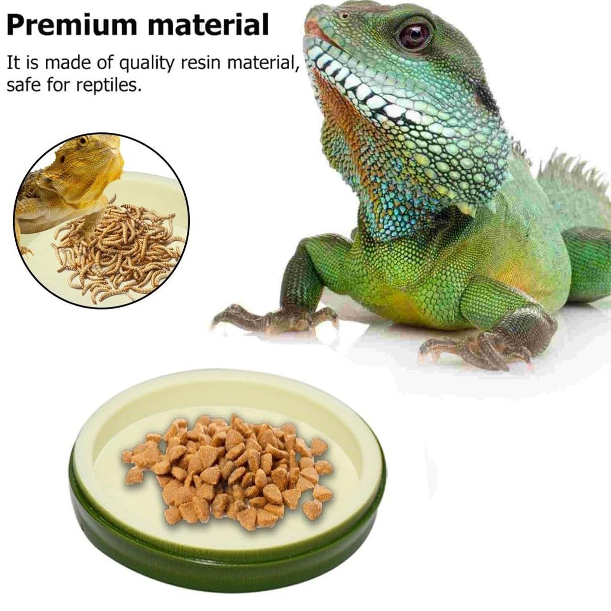 Reptile Feeding Dish Reptile Water Bowl