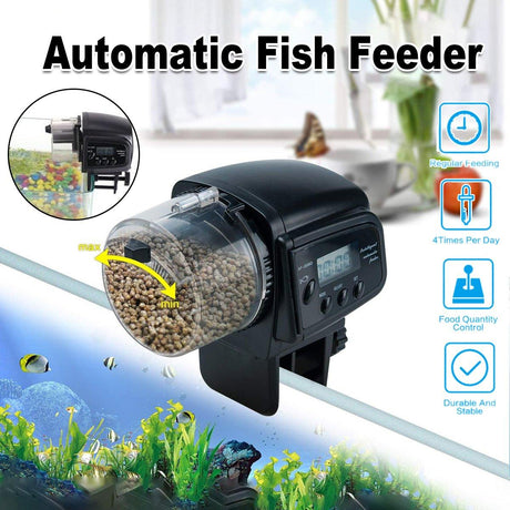 Automatic fish feeder with LCD display for precise feeding