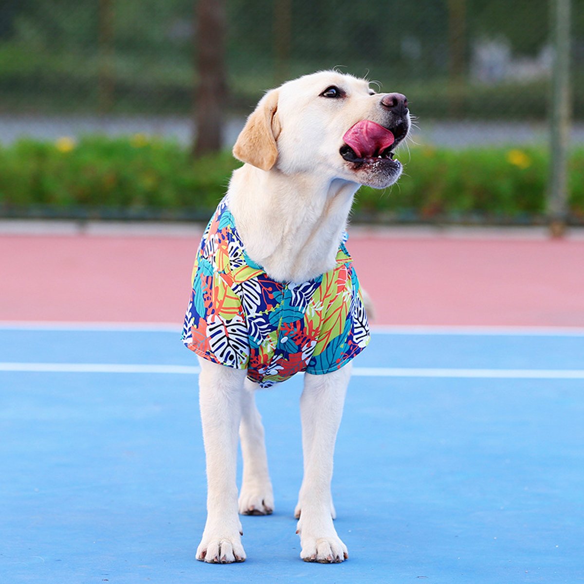 Pet Clothes Cat Dog Spring Summer Dog Hawaiian Shirt