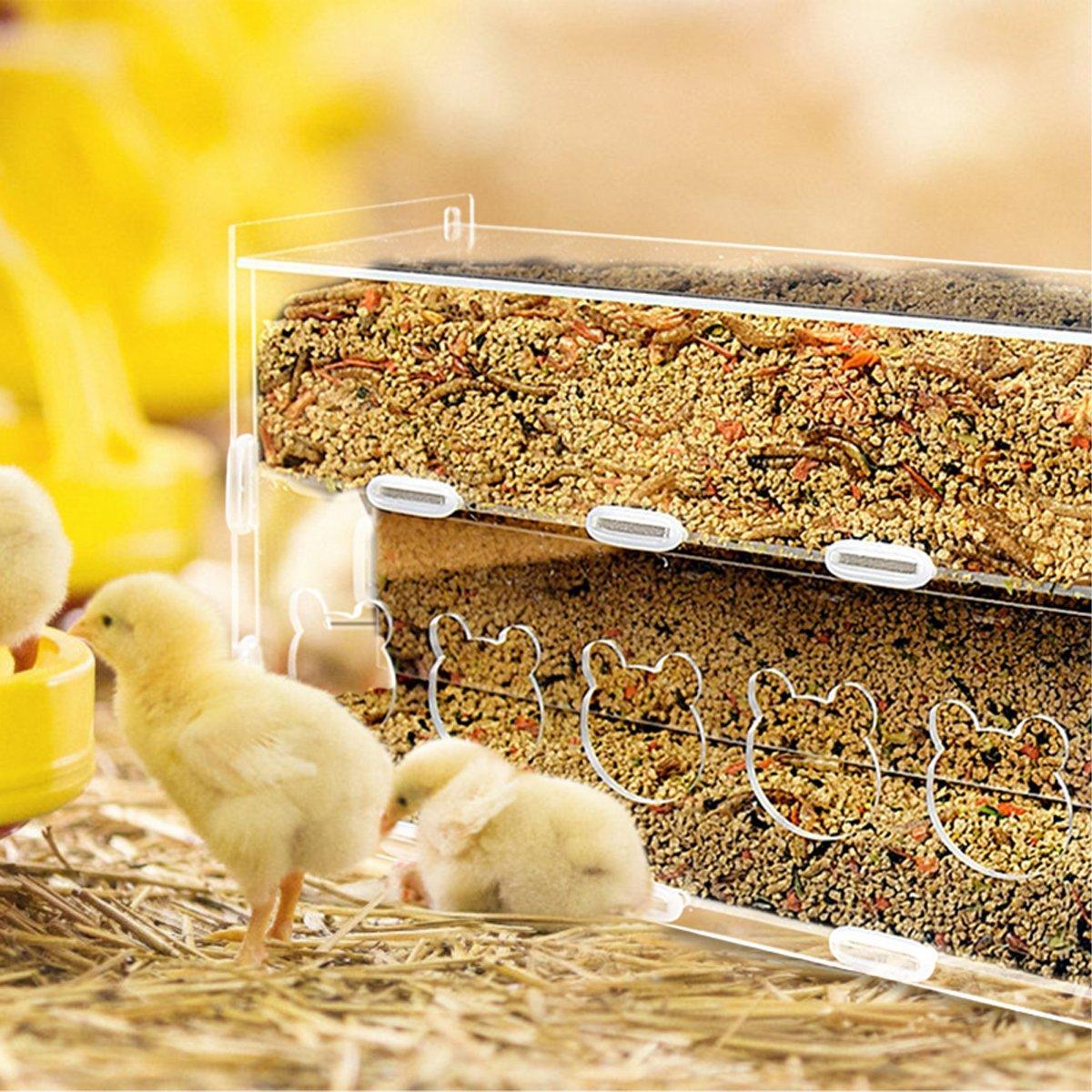 Automatic Acrylic Chicken Feeder Rutin Pet Supplies for Poultry Feeding System