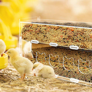 Automatic Acrylic Chicken Feeder Rutin Pet Supplies for Poultry Feeding System