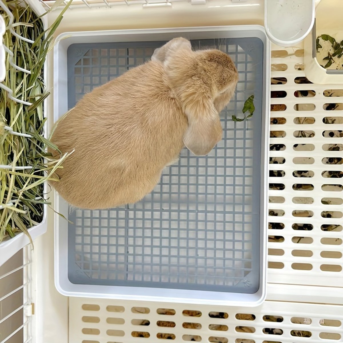 Large Pet Toilet for Rabbits & Guinea Pigs