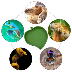 Reptile Feeding Dish Reptile Water Bowl