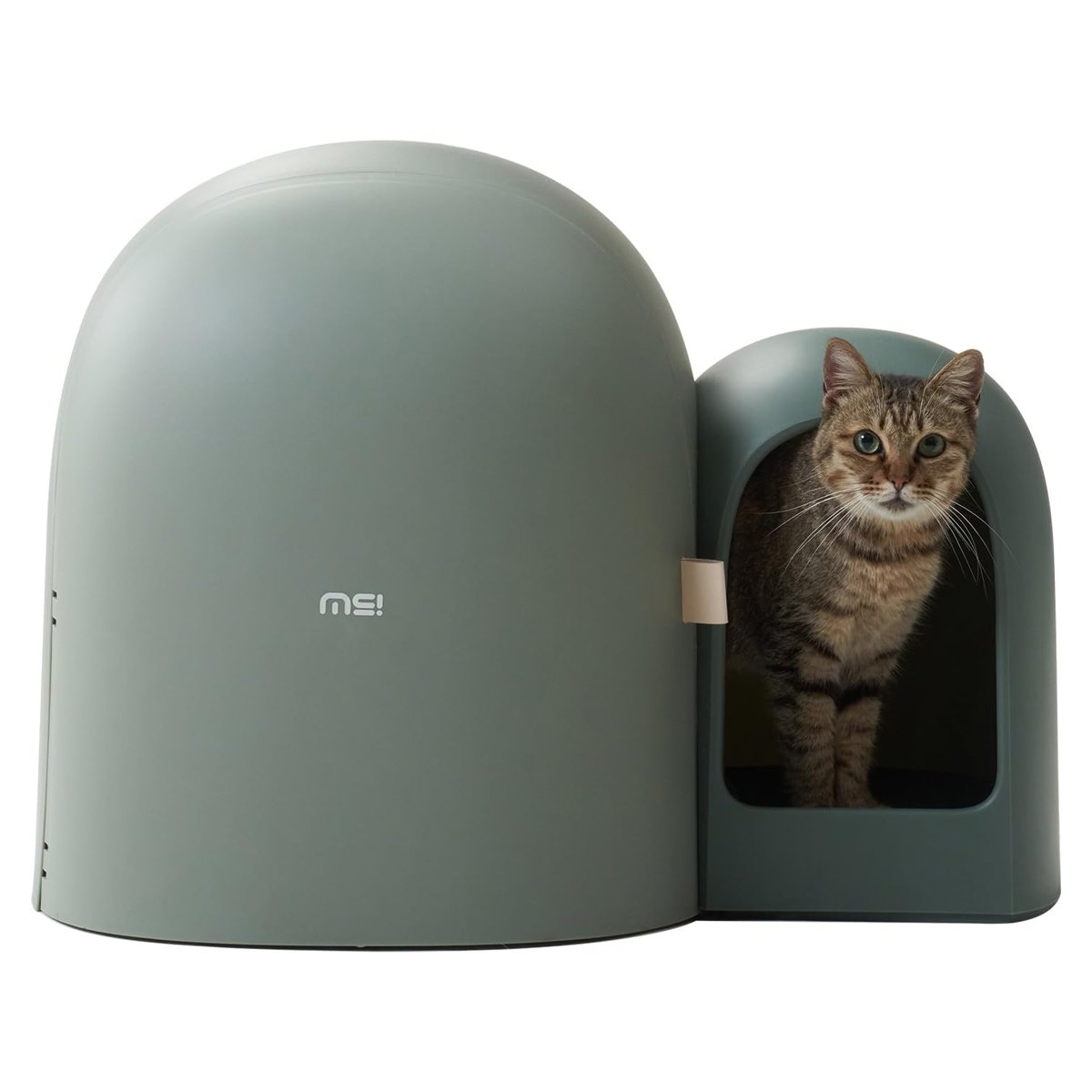 Kitty Litter Box Cat Litter Box MAX Spacious & Eco-Friendly