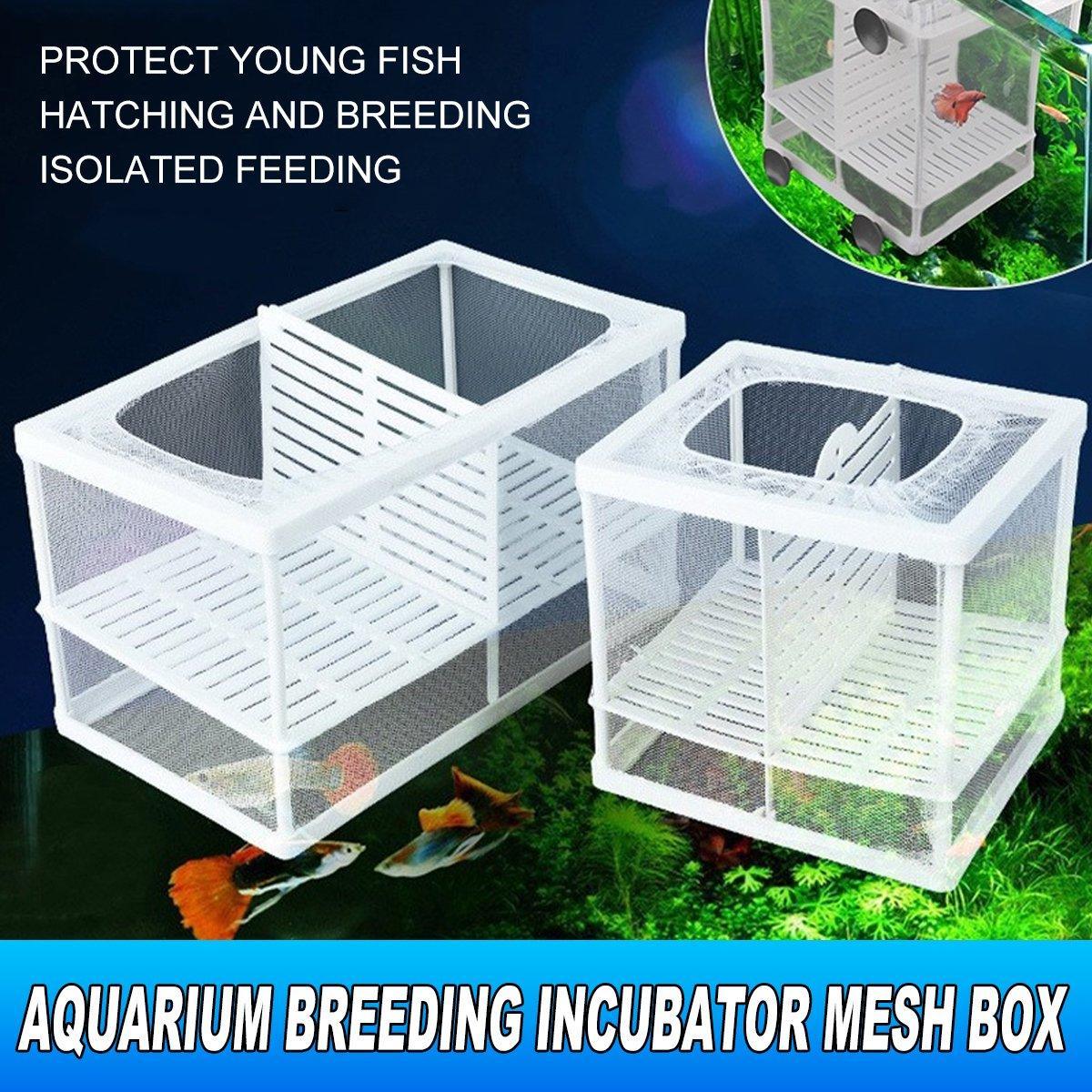 Premium Guppy Breeding Box for Safe Fish Separation