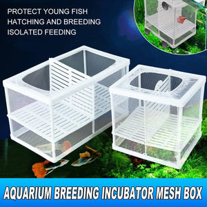 Premium Guppy Breeding Box for Safe Fish Separation