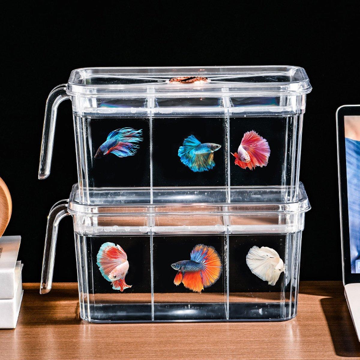 Desktop Fish Tank with Three-Division Design Compact & Stylish Aquarium