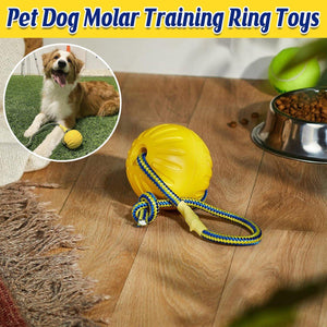 Durable Floating Dog Frisbee for Outdoor Fun and Teeth Cleaning