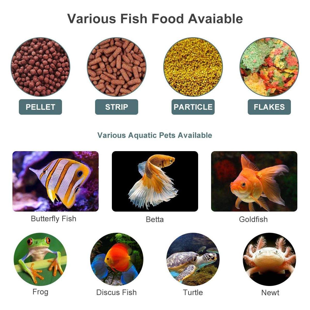 Reliable Automatic Fish Feeder for Convenient Aquarium Care