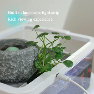 Tabletop Aquarium Landscape Fish Ecological Filter Feeding Basin for Home Decor