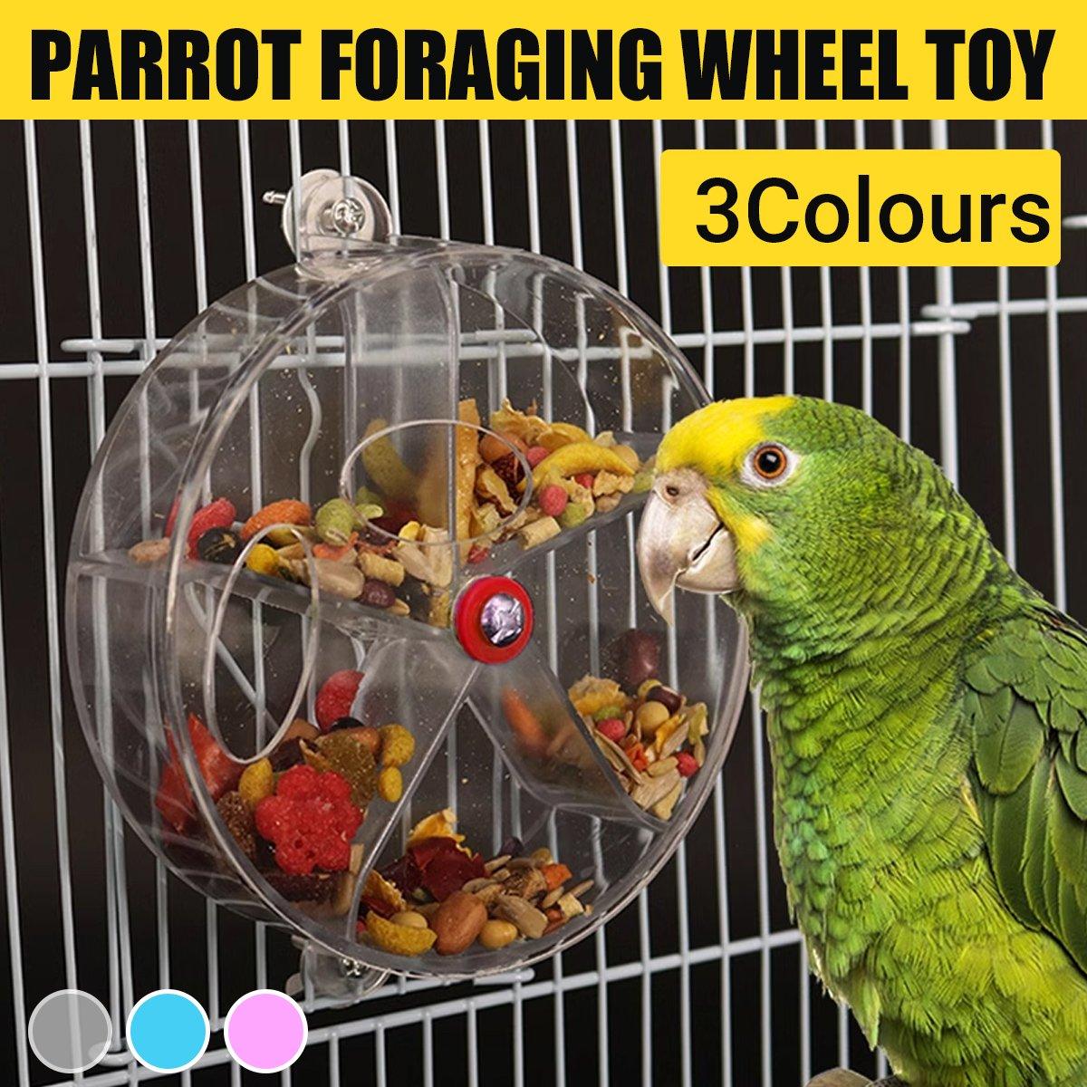 Interactive Parrot Foraging Wheel Toy