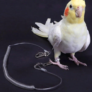 Parrot Release Rope Anklet with Alloy Fasteners Supplies Bird Lead