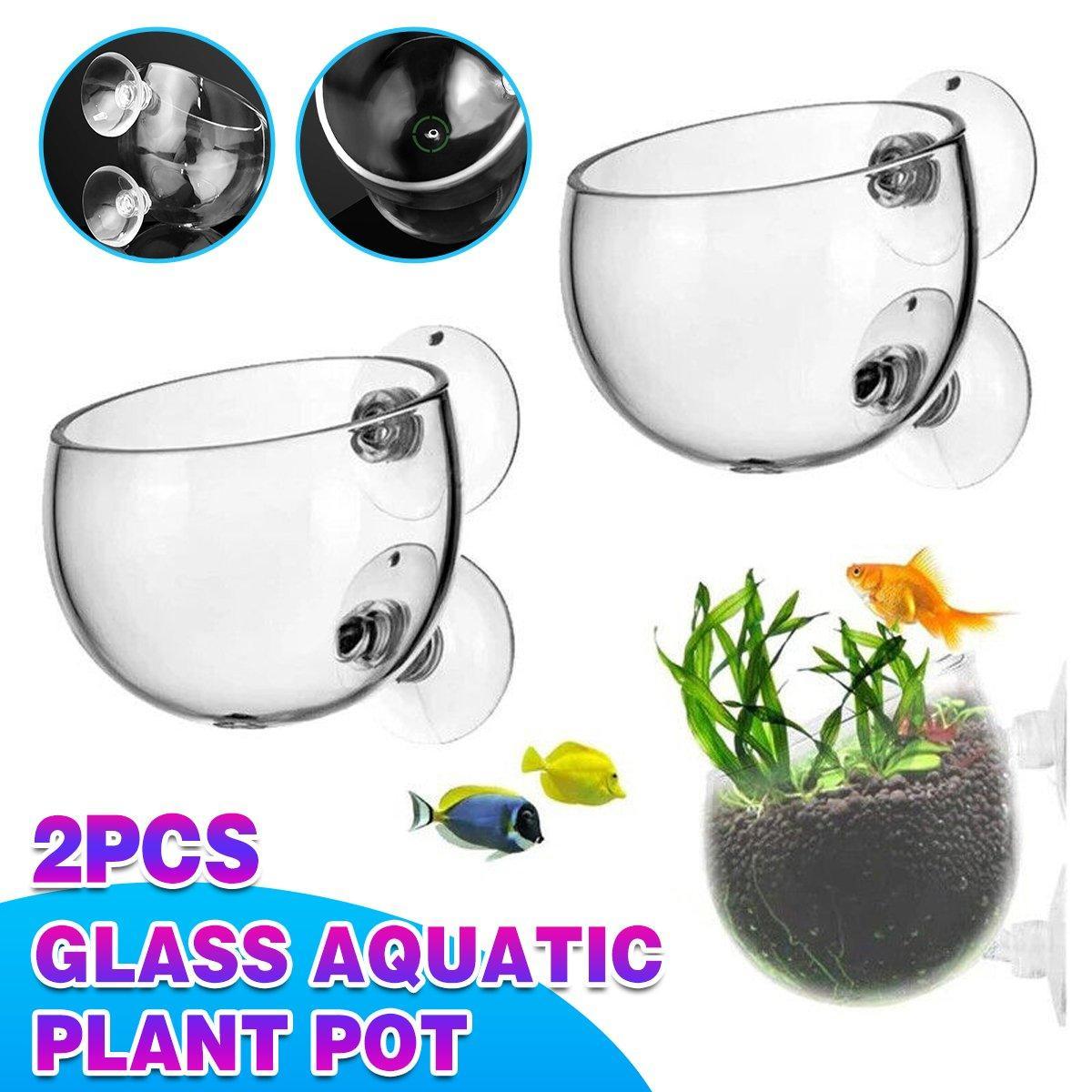 Aquarium Plant Cup for Breeding and Aquascaping Glass Water Plant Holder