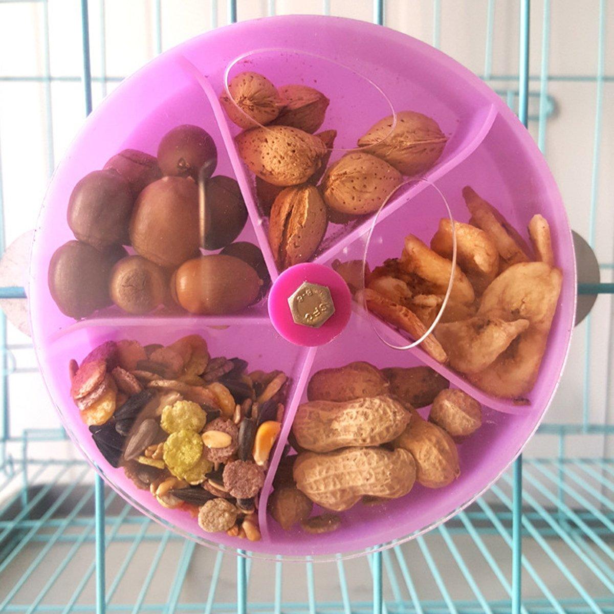 Interactive Parrot Foraging Wheel Toy