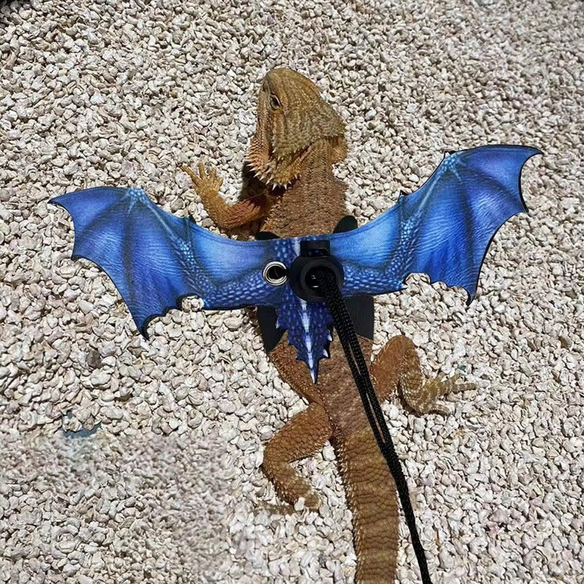 Small Pet Harness with Wings Climbing Rope Leather Chest Lead for Walking