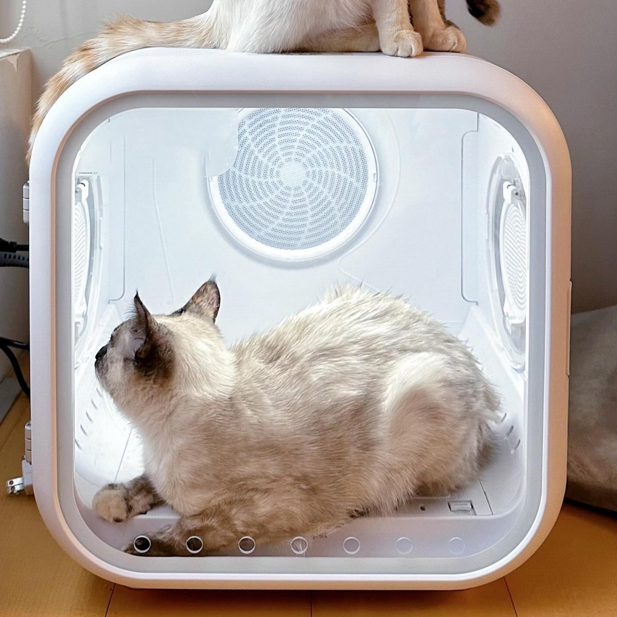 Smart 62L Pet Hair Dryer Box - Automatic Dryer for Cats and Small Pets