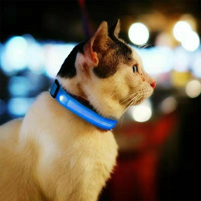 USB-Charged LED Nylon Dog Collar-Glowing Flashing Pet Safety Night Light Collar