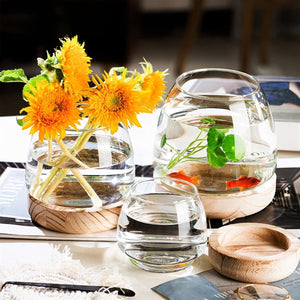 Elegant Small Aquarium with Wooden Tray