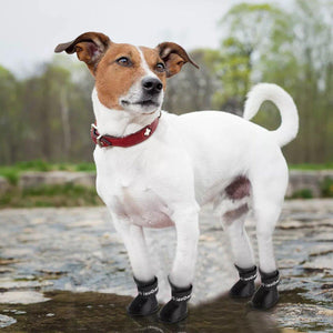 Cartoon Boots Pet Rain Boots Waterproof Non-slip Wear-resistant Dog Shoes