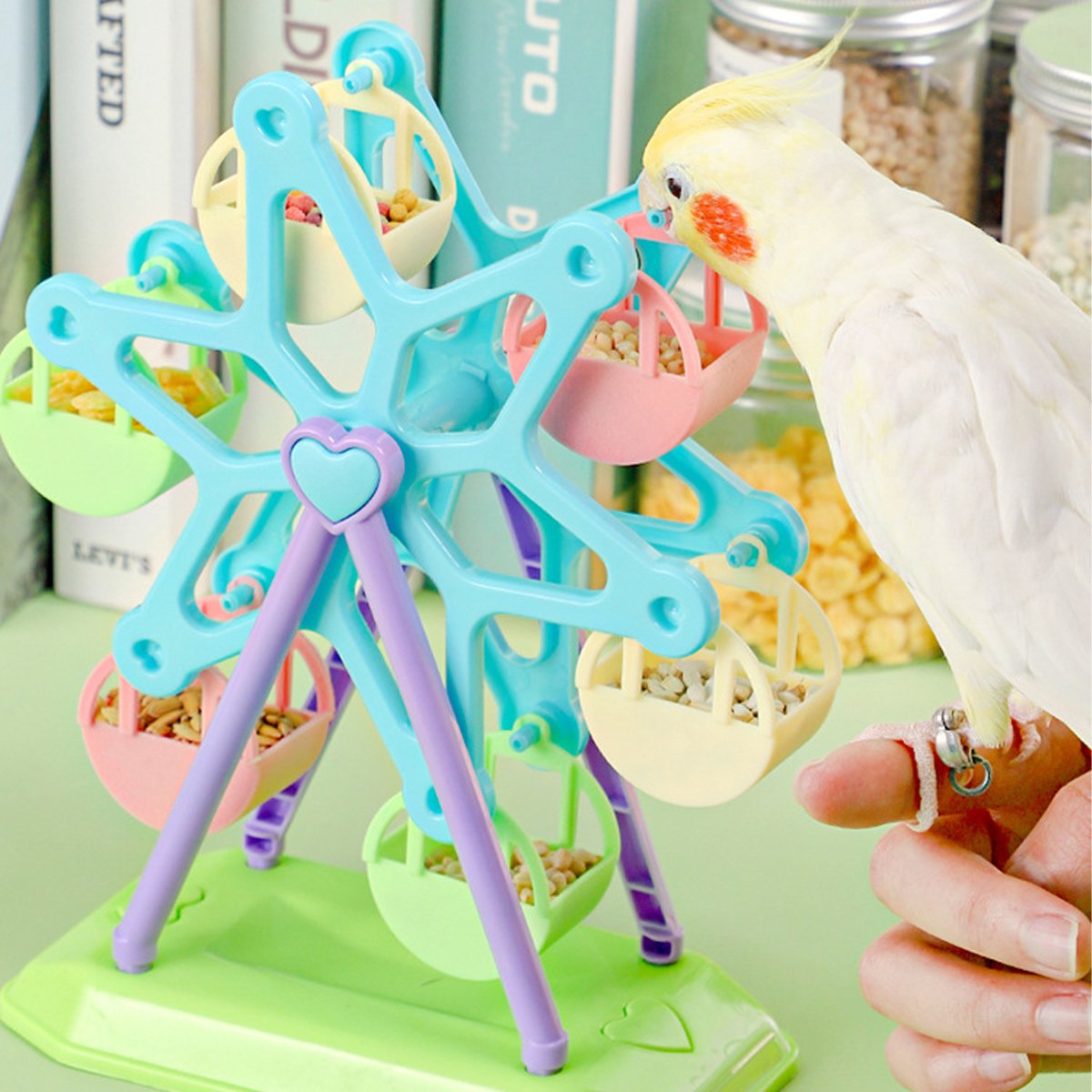 Interactive Ferris Wheel Snack Box Bird Toy Bird Feeder