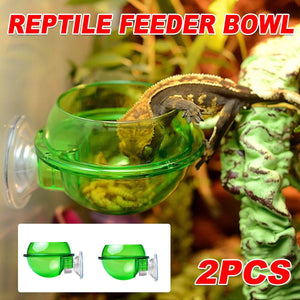 Suction Cup Reptile Feeder Bowl Anti-Escape Feeding Dish for Small Reptiles