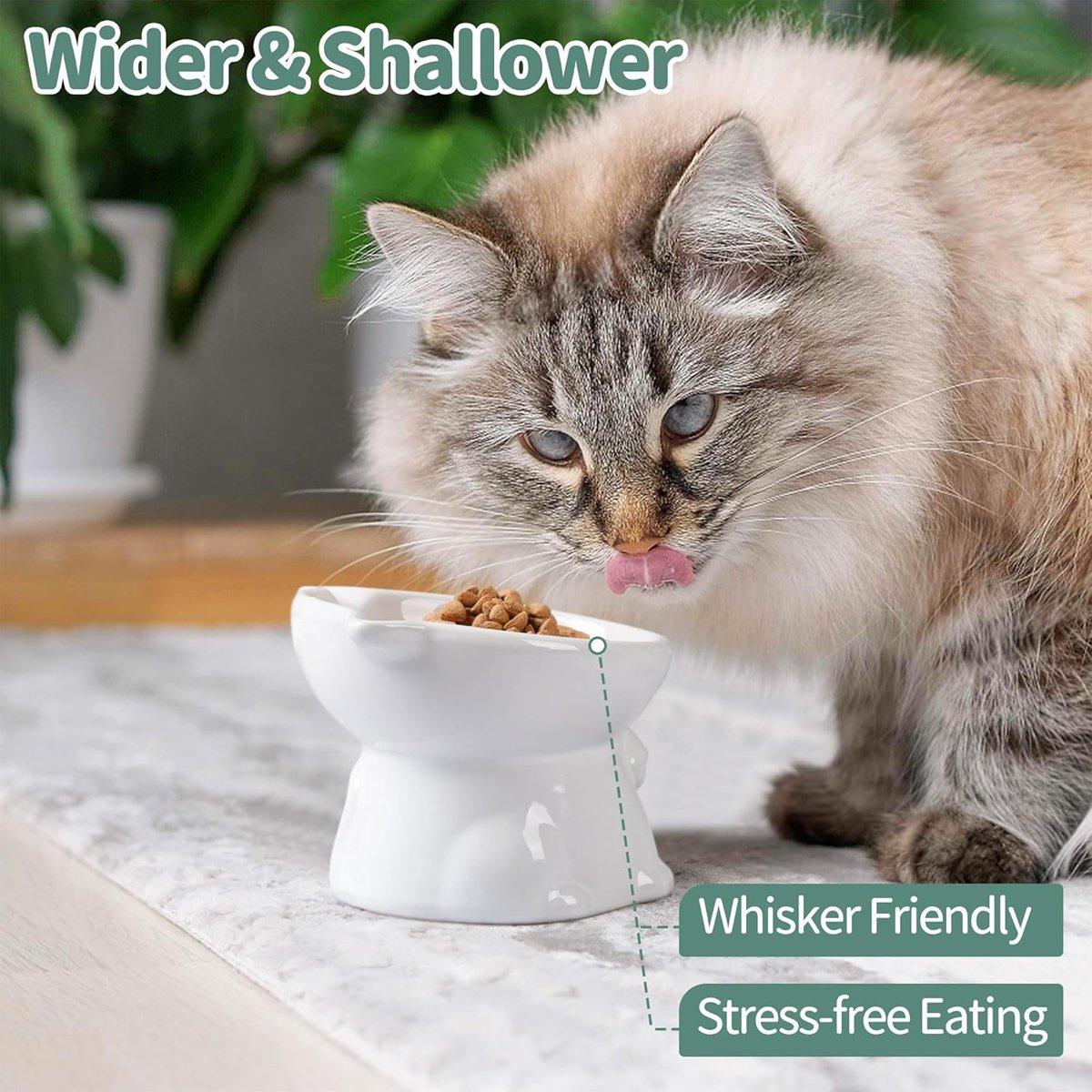 Tilted Ceramic Cat Bowl Ergonomic Design