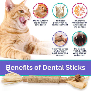 Cat Dental Health Silvervine Sticks Natural Chew Toy