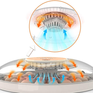 Intelligent New Incubator 30 Automatic Egg Incubator