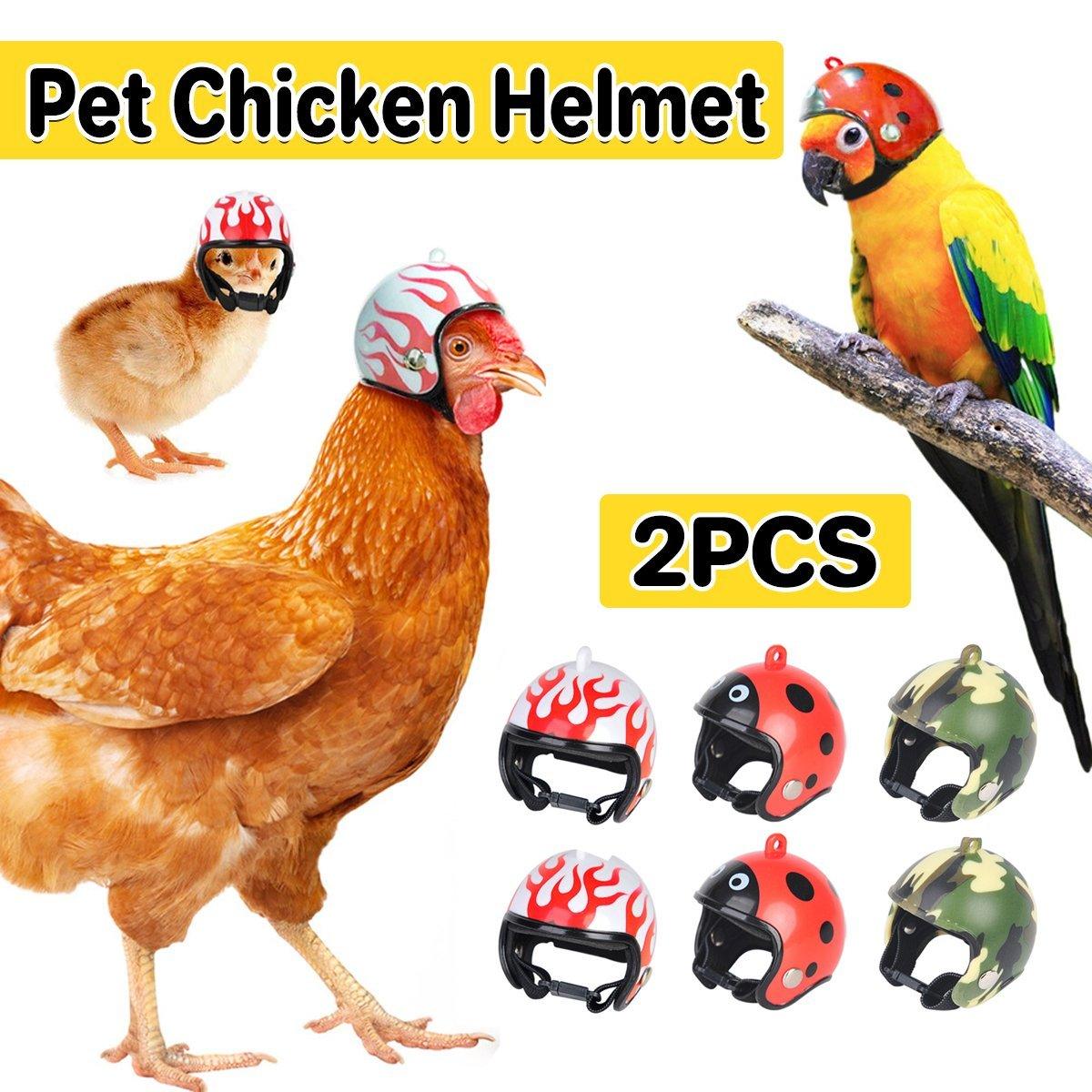 Mini Pet Chicken Helmet – Lightweight, waterproof protective headgear for chickens, parrots, and small birds. 