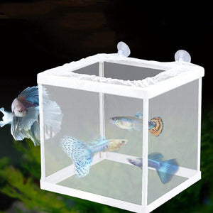 Durable Fish Fry Breeder Box for Aquariums Secure Juvenile Isolation