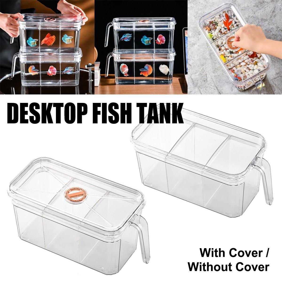 Desktop Fish Tank with Three-Division Design Compact & Stylish Aquarium