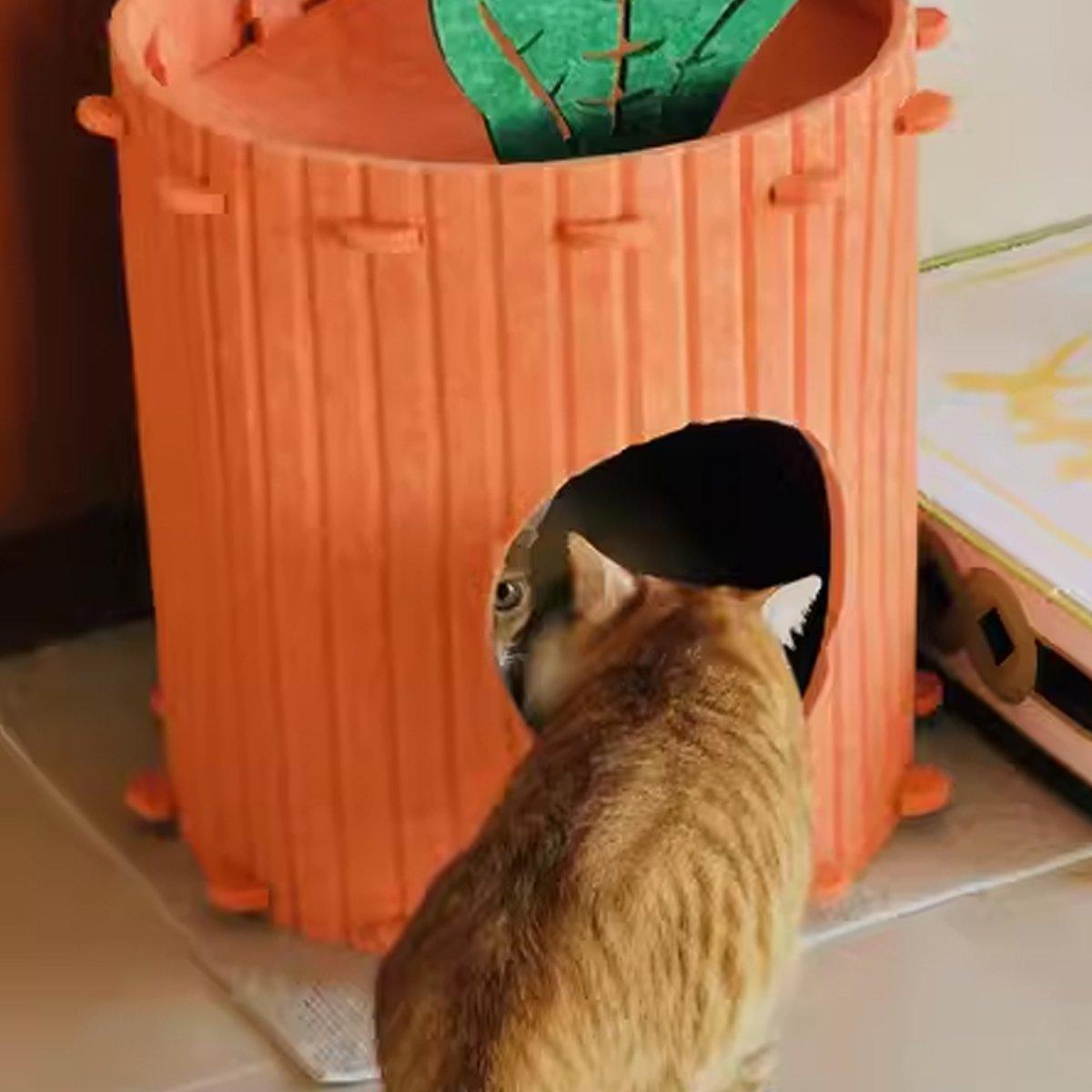 Carrot Cat Tunnel Bed Cozy Felt Pet Nest with Sturdy Design