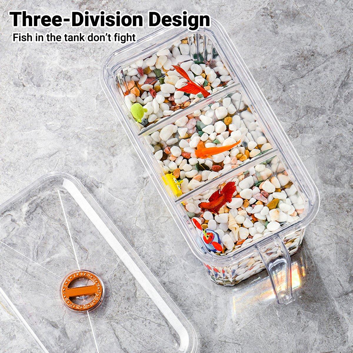 Desktop Fish Tank with Three-Division Design Compact & Stylish Aquarium