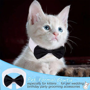 Adjustable Solid Colour Bow Tie Designer Pet Collar For Dog and Cat