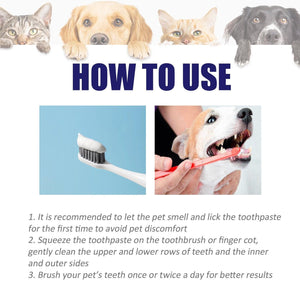 Enzyme-Based Pet Toothpaste for Fresh Breath & Healthy Gums