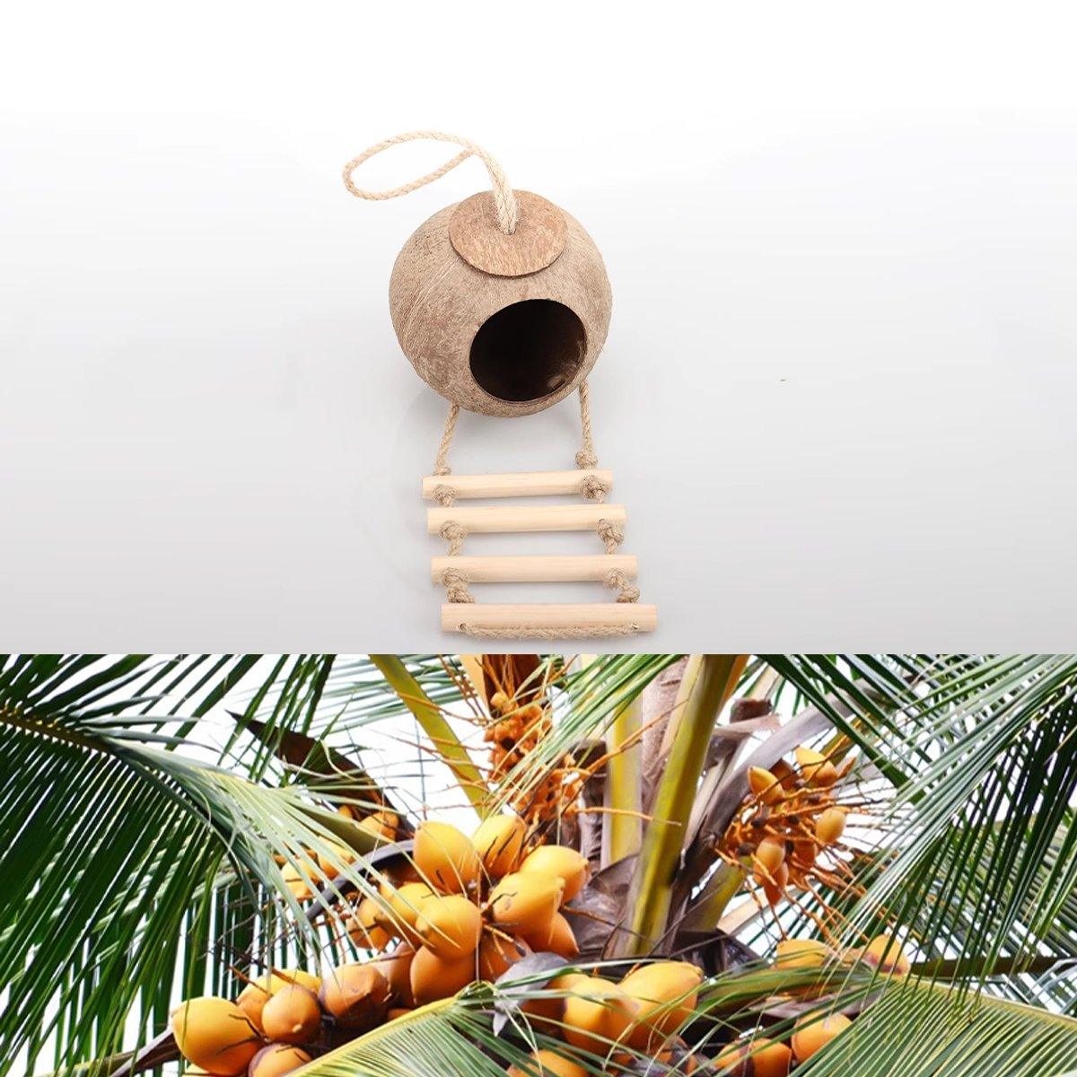 Pet Parrot Nest Wooden Bird House Natural Coconut Shell Feeder