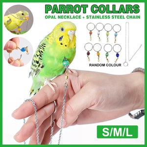 Adjustable Parrot Collar with Opal Necklace and Stainless Steel Chain