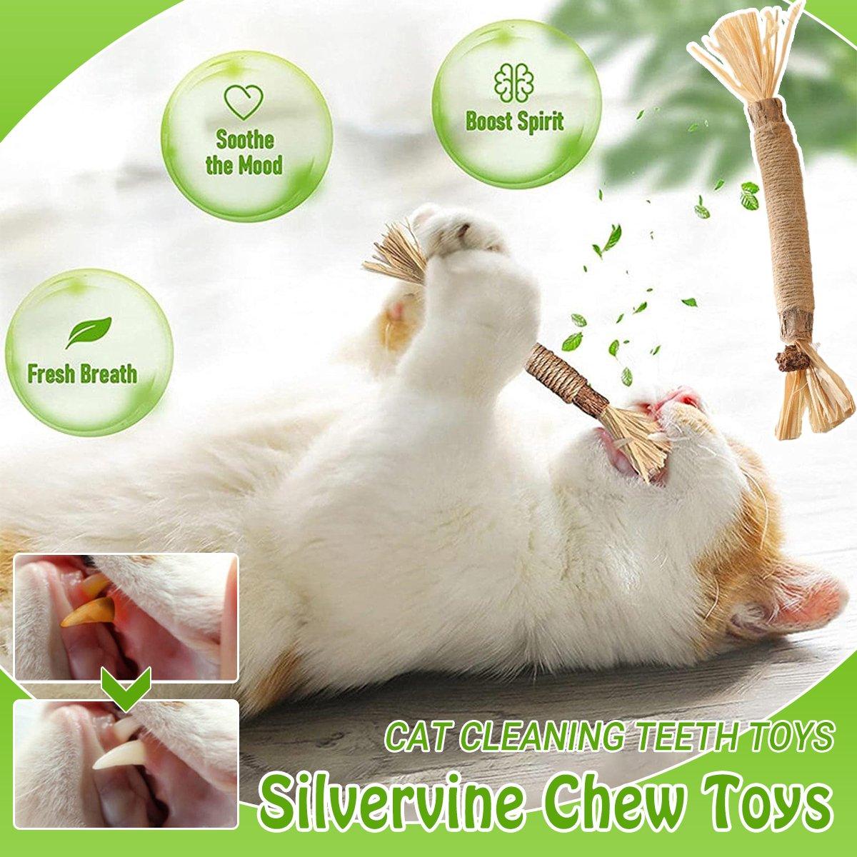 Cat Dental Health Silvervine Sticks Natural Chew Toy