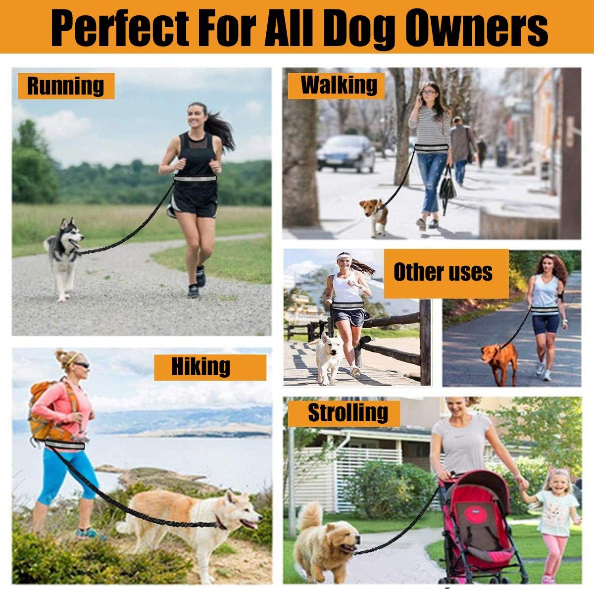 Pet Running Sports Traction Suit Belt Waist Pack Multi-color Reflective Traction Rope Collar Plus Belt