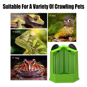 Reptile Hunting Dish Predator Trap Hanging and Placing Field Tool for Outdoors