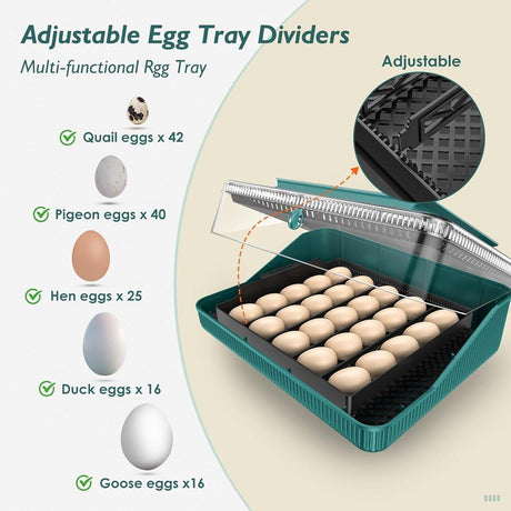 Fully Automatic Chicken Incubator with LED Display