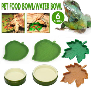 Reptile Feeding Dish Reptile Water Bowl