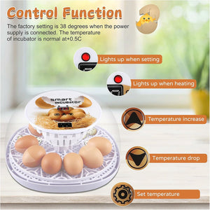 Automatic Small Egg Incubator for Chicken Pigeon