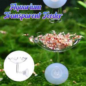 Aquarium Fish Tank Shrimp Food Feeder Clear Glass Feeding Dish Fish Tank Feeder